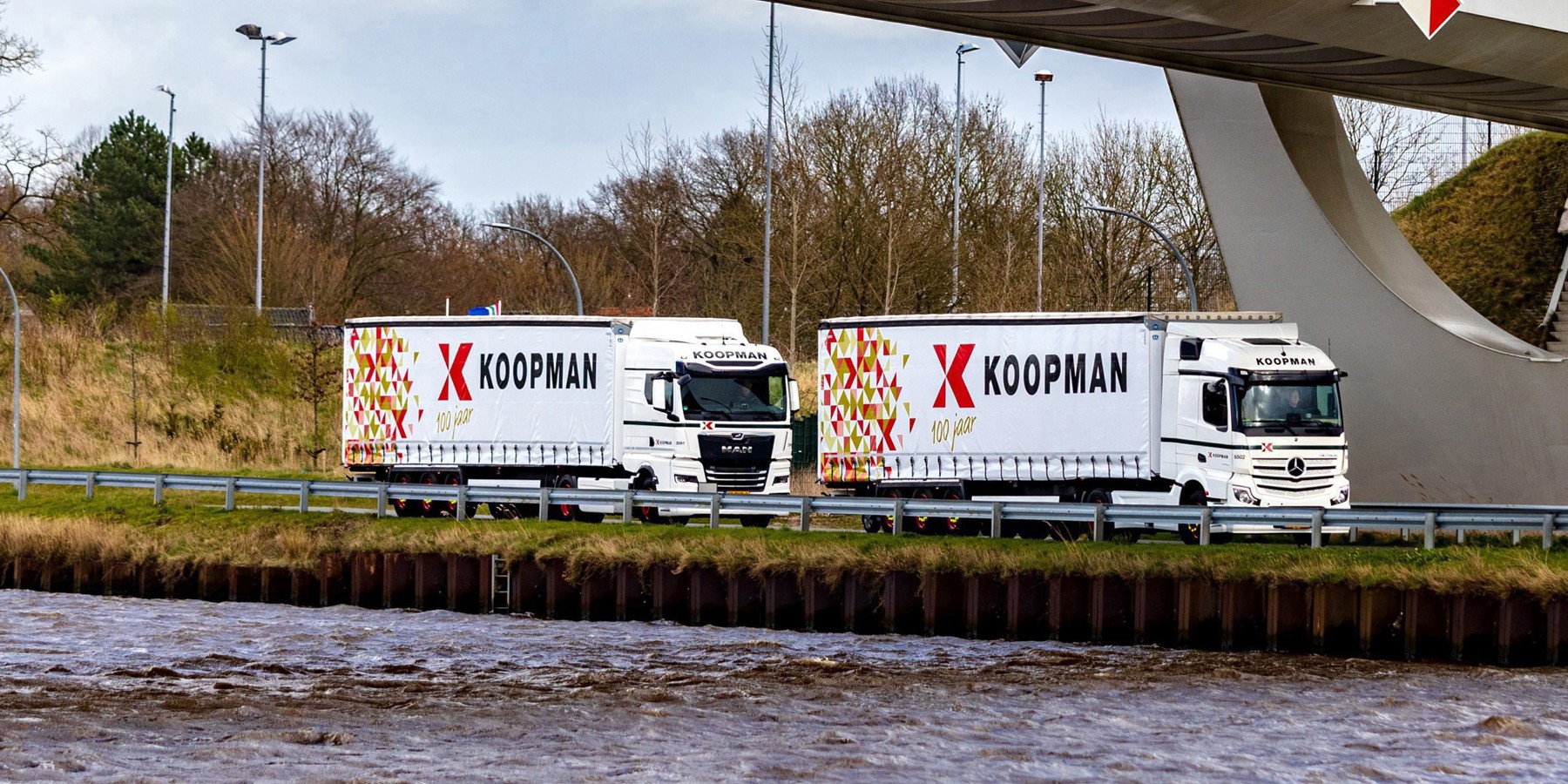 100 years Koopman