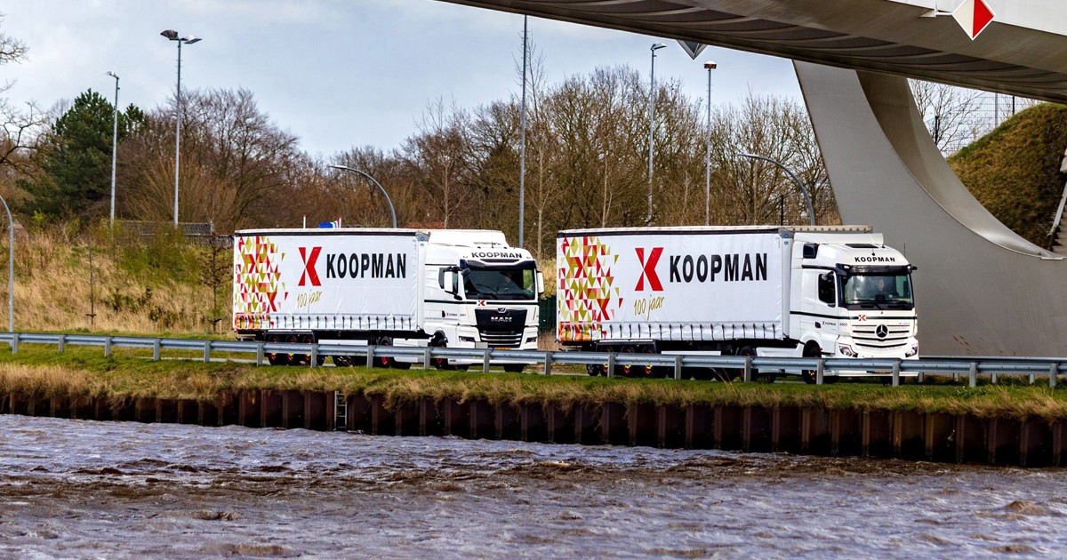 100 years Koopman